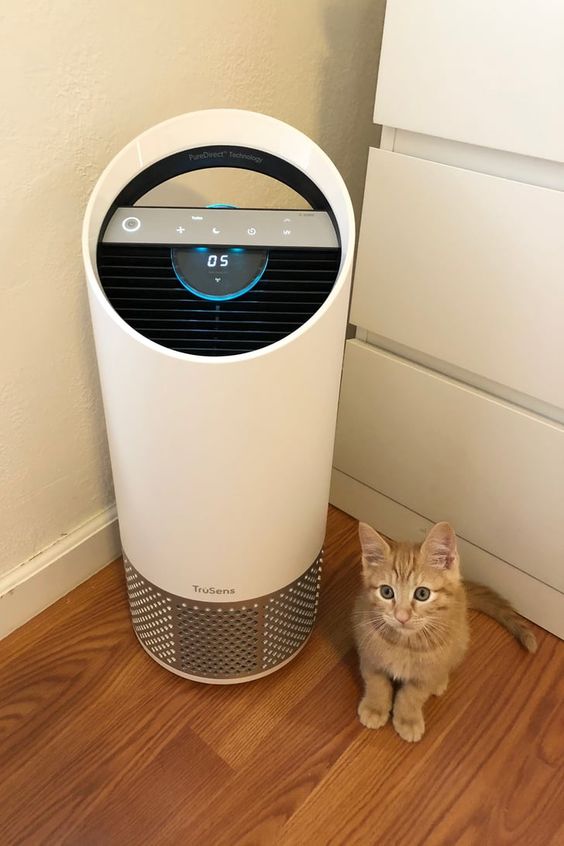 air purifier terbaik